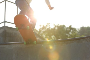 Yönetim Kurulu ile Bayan kaykaycı