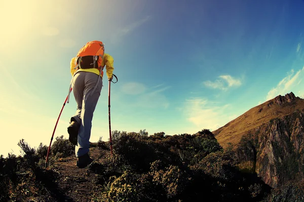 Γυναίκα backpacker πεζοπορία — Φωτογραφία Αρχείου