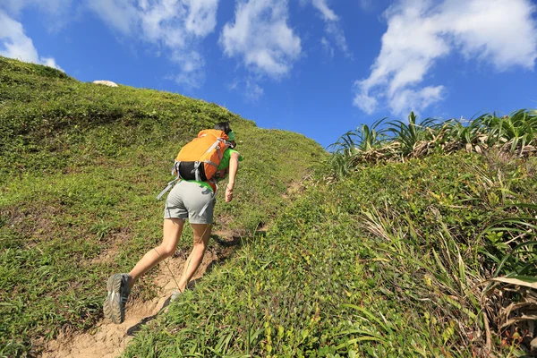 Backpackerin klettert auf Berg — Stockfoto