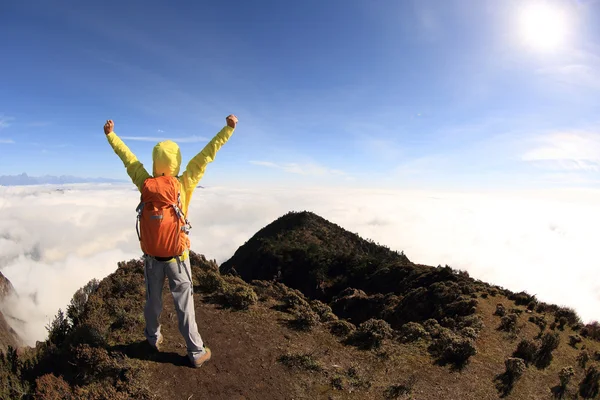 Cheering woman with open arms on mountain — Stock Photo, Image