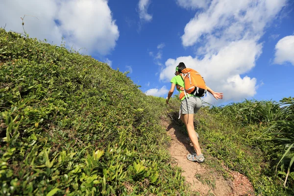 Mujer mochilero escalada en la montaña —  Fotos de Stock