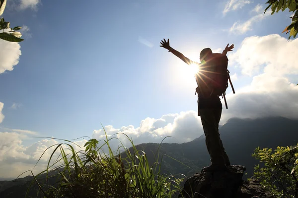 Jubelnde junge Frau auf dem Berggipfel — Stockfoto