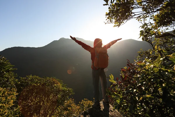 Mujer exitosa con los brazos abiertos en el pico — Foto de Stock