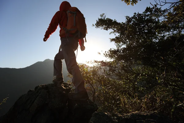 Mujer excursionista en pico de montaña —  Fotos de Stock