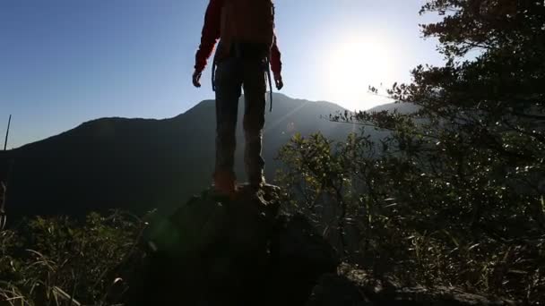 Tepe üzerinde Kollarını açarak başarılı kadın — Stok video