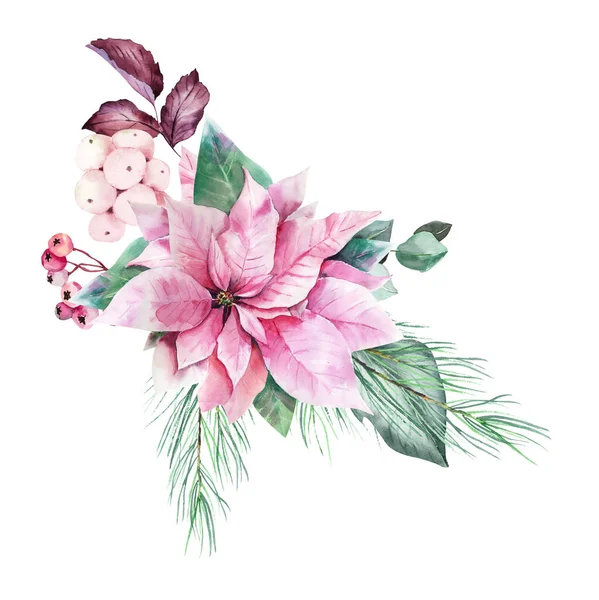 Akwarela Różowy Poinsettia Eukaliptusa Clipart Różowy Świąteczne Dekoracje Dla Cyfrowej — Zdjęcie stockowe