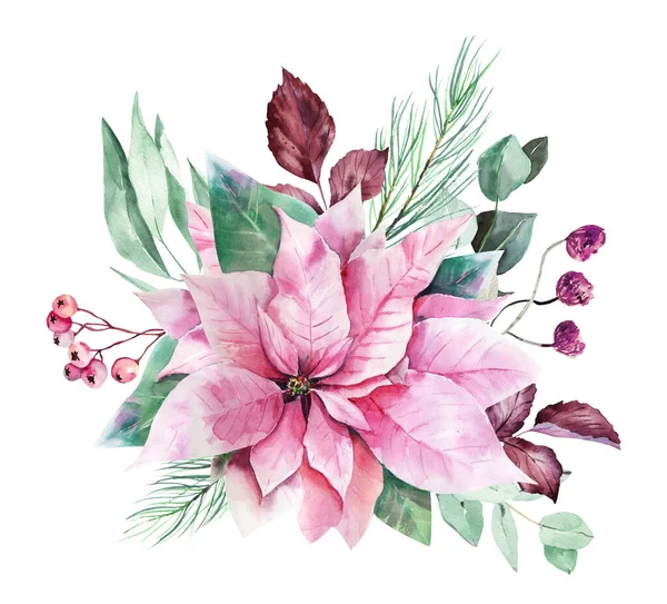 Aquarel Roze Poinsettia Eucalyptus Clipart Roze Kerstversiering Voor Digitale Scrapbooking — Stockfoto