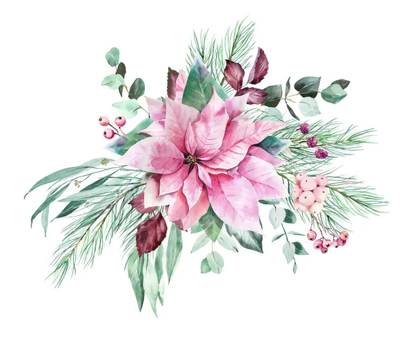 Aquarell Rosafarbener Weihnachtsstern Und Eukalyptus Cliparts Rosa Weihnachtsdekoration Für Digitales — Stockfoto