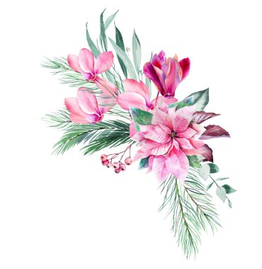 Suluboya pembe siklamen ve okaliptüs yapraklı poinsettia clipart. Dijital yapıştırma kitabı için pembe Noel süslemesi, pembe çiçekli kış buketi