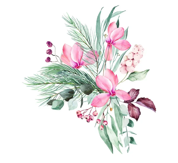 Aquarelle Cyclamen Rose Clipart Poinsettia Avec Feuilles Eucalyptus Décoration Noël — Photo