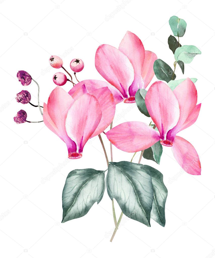 Watercolor Pink cyclamen and  poinsettia clipart with eucalyptus leaves. Pink Christmas decoration for digital scrapbooking, Winter bouquet with pink florals