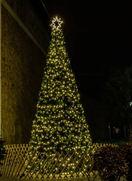 Brad Crăciun Lumini Noapte — Fotografie, imagine de stoc