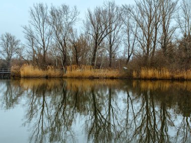 Gölün kıyısındaki sıra sıra ağaçlar suya yansıyor..