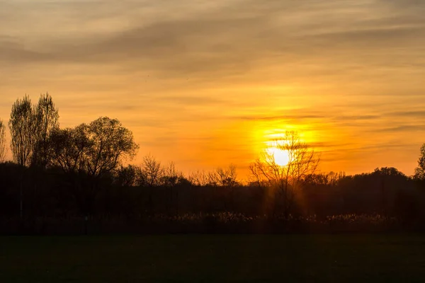 Sonnenuntergang Über Dem Feld Sonne Hinter Den Bäumen — Stockfoto