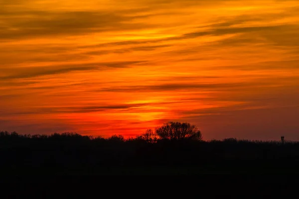 Sonnenuntergang Über Dem Feld Sonne Hinter Den Bäumen Mit Orangefarbenem — Stockfoto