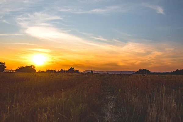 Sonnenuntergang Über Den Feldern — Stockfoto