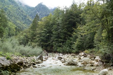 Dağlardaki dağ nehri kayalık, taşlı nehir yatağı