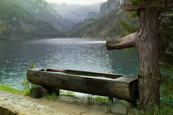 Holztrinker Ufer Eines Von Bergen Umgebenen Sees — Stockfoto