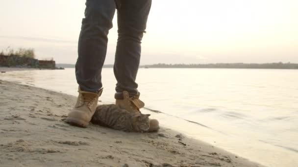 Cat looking at waves near crop angler — Stock Video