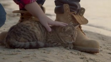 Kedi, balıkçının yanındaki dalgalara bakıyor.
