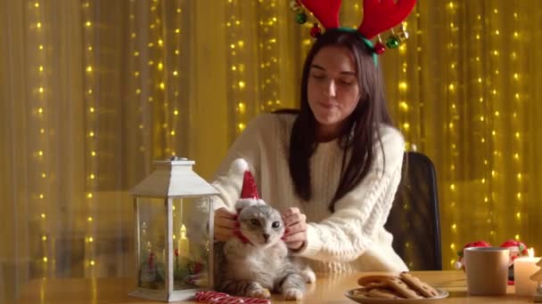 Glückliche Frau spielt zu Weihnachten allein mit Katze — Stockvideo