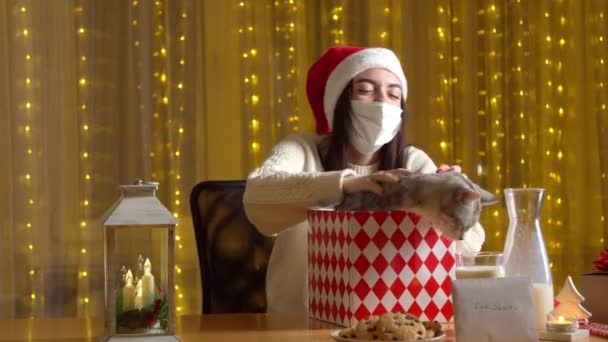 女性オープンクリスマスプレゼントともにかわいい猫内部 — ストック動画
