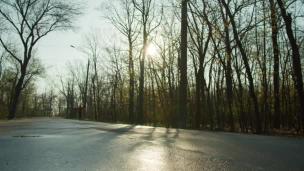 Mujer trotando en la carretera en el parque de otoño — Vídeo de stock