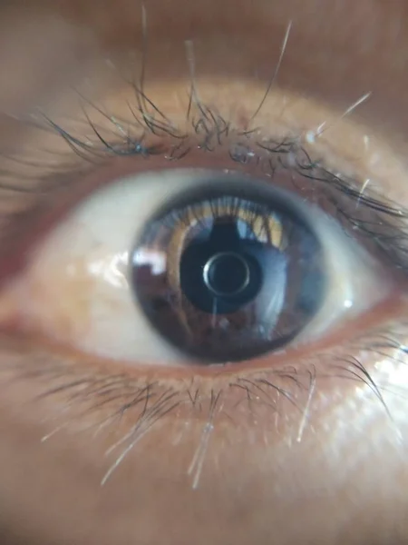 Ojo pardo oscuro con pestanas, tomado con lente de gran aumento, se logra apreciar el detalle.de la fotografia