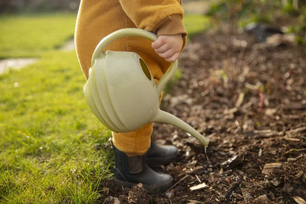 A young child helping out in the garden watering plants with a watering can