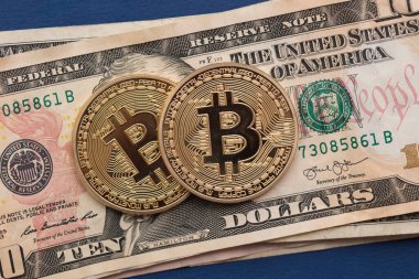 Amerika Birleşik Devletleri dolarına karşı Bitcoin kripto para birimi değeri