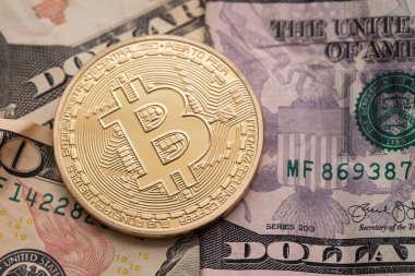 Amerika Birleşik Devletleri dolarına karşı Bitcoin kripto para birimi değeri