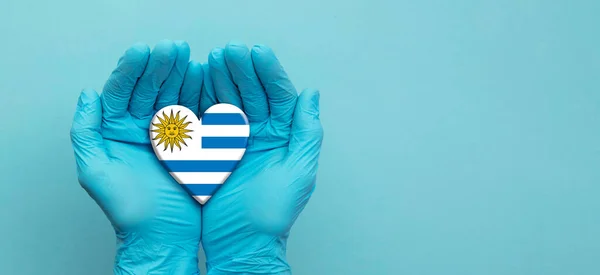 Лікарі носять хірургічні рукавички, тримаючи серце прапора Уругваю. — стокове фото