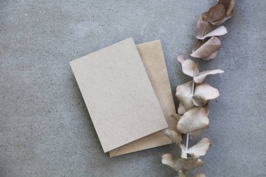 Kurumuş okaliptüs yapraklı boş Kraft kahverengi davetiye kağıdı