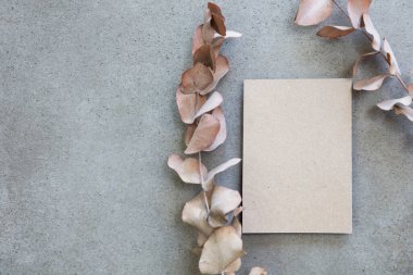 Kurumuş okaliptüs yapraklı boş Kraft kahverengi davetiye kağıdı