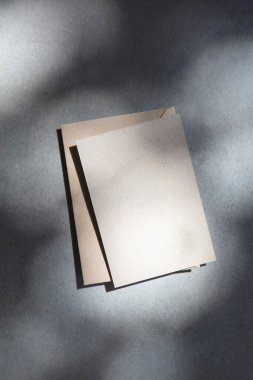 Boş kahverengi davetiye ya da benekli güneş ışığının altındaki zarflı kartpostal