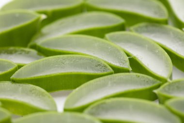 Doğal yeşil aloe vera kökü dilimlere ayrılmış. Sağlık ve refah arka planda