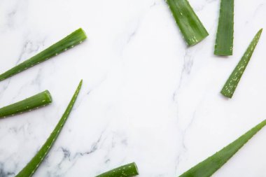 Doğal yeşil aloe vera kök sağlık ve iyi bir geçmiş.