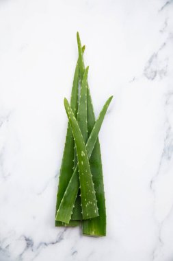Doğal yeşil aloe vera kök sağlık ve iyi bir geçmiş.