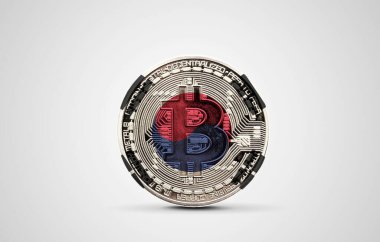 Bitcoin kripto para üzerinde Güney Kore bayrağı. 3B Hazırlama