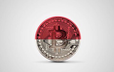 Bitcoin kripto para üzerinde Endonezya bayrağı. 3B Hazırlama