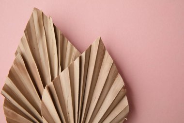 Kurumuş tropikal palmiye yaprağı. Pastel pembe arka planda çok az süsleme.