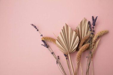 Kurumuş tropikal palmiye yaprağı ve pastel pembe arka planda kuru çiçek süslemesi.
