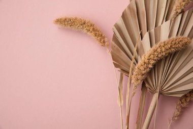 Kurumuş tropikal palmiye yaprağı ve çimen çiçeği süslemesi. Pastel pembe arka planda.