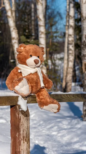 A stuffed toy teddy bear in a knitted scarf sits on a wooden fence in the winter forest on a sunny day.