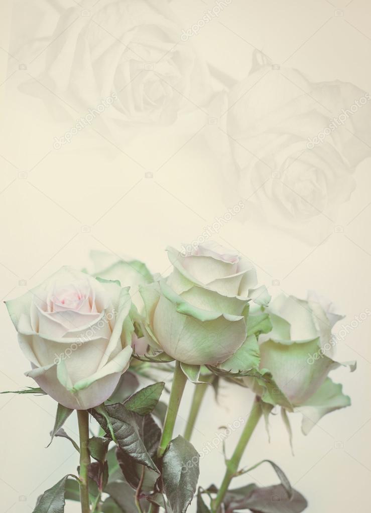 Foto Stock Rosa Appassita Immagini Rosa Appassita Royalty Free Depositphotos