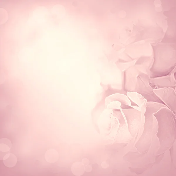 Pink background with rose flowers