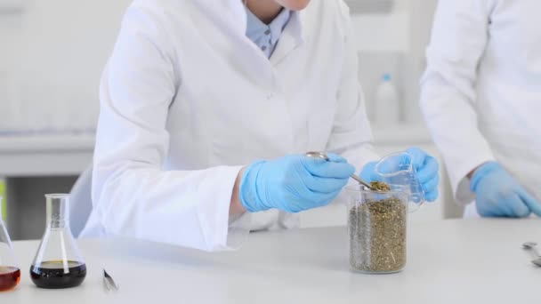 Científicos Manos Trabajando Con Marihuana Vaso Precipitados Durante Experimento Laboratorio — Vídeos de Stock