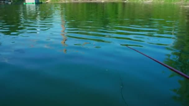 ドナウ川の浅瀬に浮かぶ釣り — ストック動画