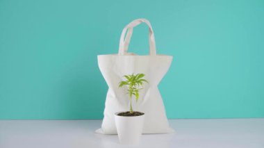 Önünde beyaz bir saksının içinde mavi bir arka planı olan marihuana bitkisi olan bir çanta. Yukarıdan bir el ekolojik bir çanta tutuyor..