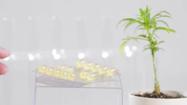 Yanında Cbd Marihuana Bitkisi Kenevir Tohumlarıyla Dolu Bir Kaseden Bir — Stok video